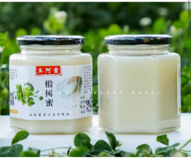 MẬT ONG TUYẾT (MẬT ONG BỒ ĐỀ NÚI TRƯỜNG BẠCH) - HŨ 500 GRAM