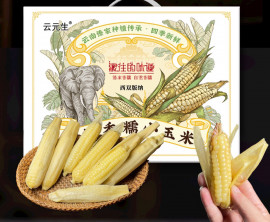 Ngô nếp baby Tây Song Bản Nạp Vân Nam 1kg