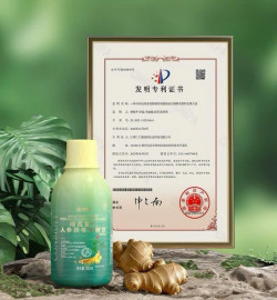 Nước uống nhân sâm phục linh thảo dược lên men giải độc dưỡng tỳ vị tiêu ẩm dưỡng da (CONBA)